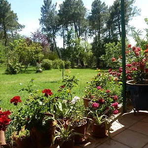 Domaine Du Planas - Patio Hébergement de vacances Ailhon